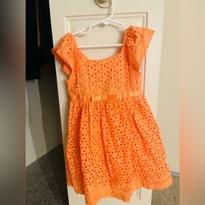 Toddler girl blueberri boulevard cotton dress 3T ( new tagged)